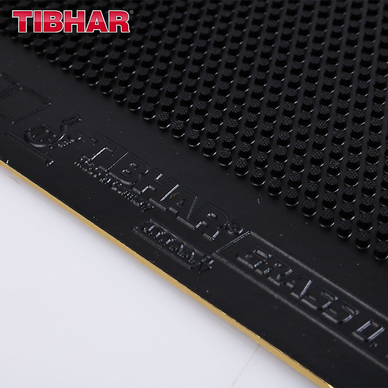 TIBHAR GRASS D.TECS Table Tenn - đánh giá và giá Table Tennis Rubber