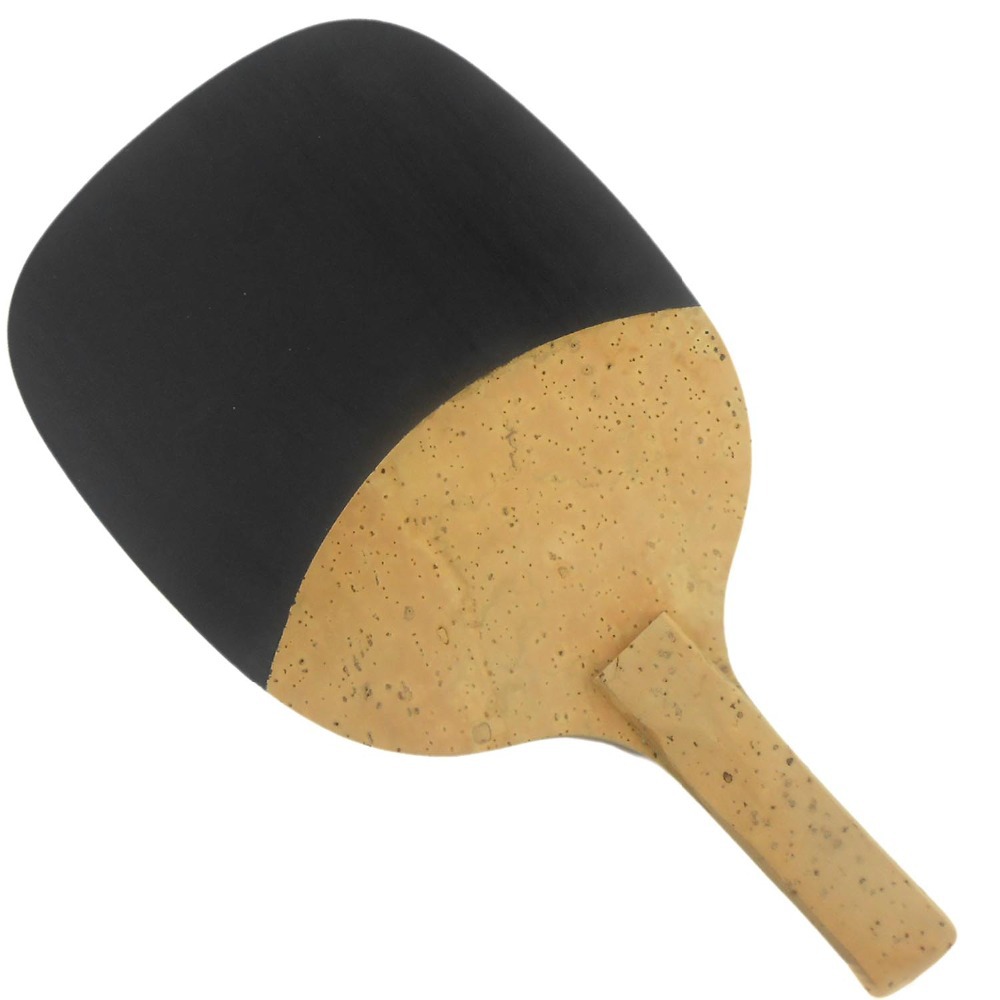 PALIO 8603 Carbon Titanium Tab - đánh giá và giá Table Tennis Launcher